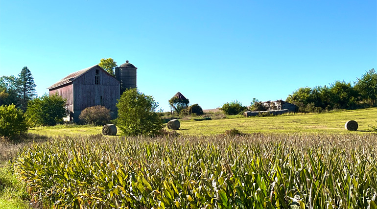 Barn and corn field.