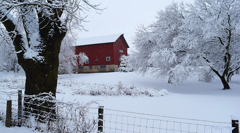 Granero rojo campo y árboles cubiertos de nieve