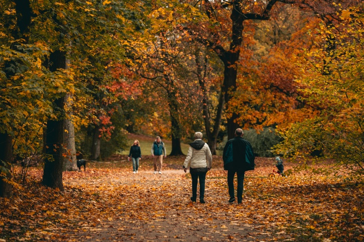 People walking on a path with colorful fall trees.