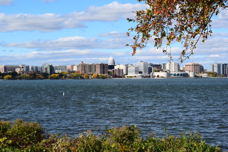 The Madison skyline and lake with fall trees.