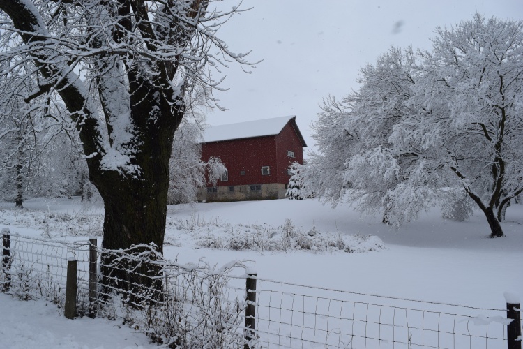 A barn in a snowy field