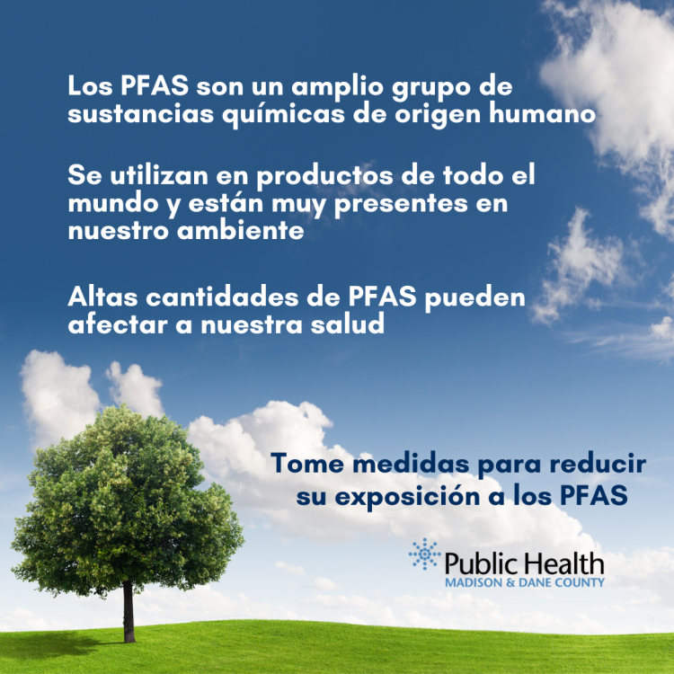 Graphic with trees and sky that explains PFAS