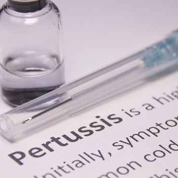 Pertussis vaccine