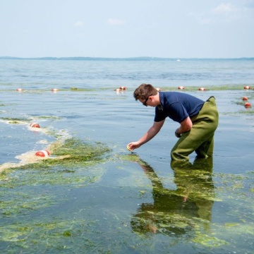 Our staff test lake water.