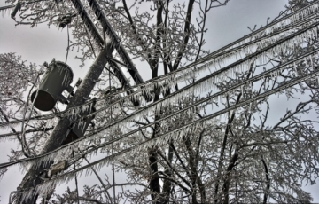 Frozen powerlines and trees.