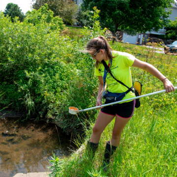 monitoring for mosquitoes