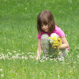 child picking flowers outside nature grass